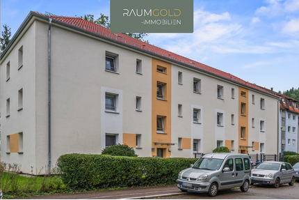 Wohnung zum Kaufen in Waldkirch 159.000,00 € 46.78 m²