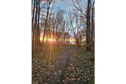 Insel Poel Weitendorf - 110,00&nbsp;EUR Kaltmiete, in Insel Poel (PLZ: 23999)