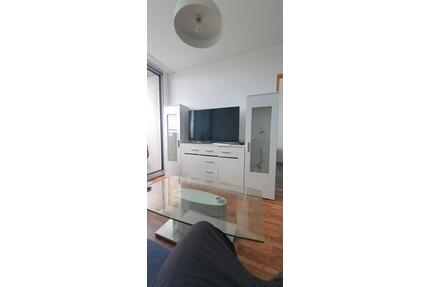 2 Zimmer Wohnung vollst.renoviert& möbliert - Ludwigshafen am Rhein Parkinsel