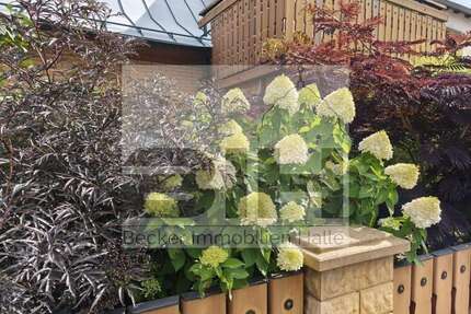 Haus zum Kaufen in Brücken-Hackpfüffel 315.000,00 € 190 m²