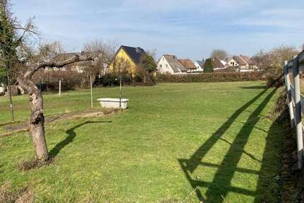 Grundstück zu verkaufen in Groß-Umstadt 247.000,00 € 489 m²