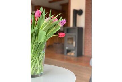 Ferienwohnung Nordsee Sankt Peter-Ording - Garding