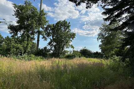 Grundstück zu verkaufen in Blankenfelde-Mahlow 230.000,00 € 1464 m²