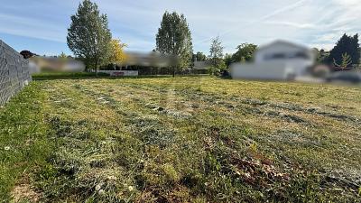 RUHIGE LAGE, IDEAL FÜR FAMILIEN - Hohberg