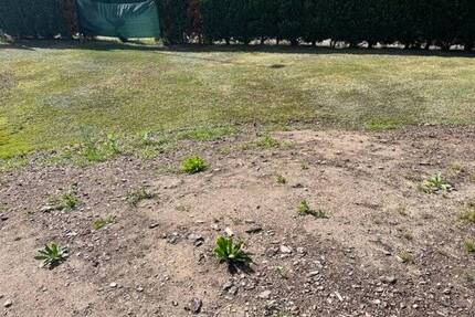 200m von der Dresdner Stadtgrenze entsteht Ihr neues Traumhaus - Freital