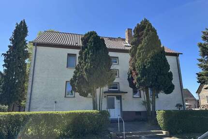 Wohnung zum Mieten in Annaburg 220,00 € 40 m²