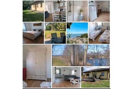 Ferienhaus Landidyll Silenz auf Rügen Sommer - Gingst