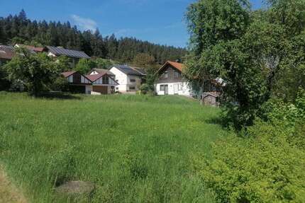 Grundstück zu verkaufen in Dietingen-Rotenzimmer 83.895,00 € 987 m²