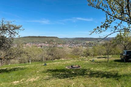 Streuobstwiese - 100,00&nbsp;EUR Kaltmiete, ca.&nbsp; 0,00&nbsp;m&sup2; in Steinheim an der Murr (PLZ: 71711)