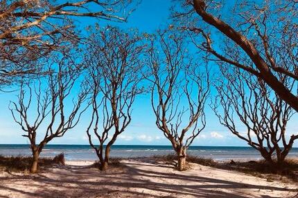 ⚓️ ☀️Traum-Ferienwohnung Ostsee Strand❣️Osterrabatt - Insel Poel