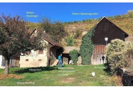 Kl. Weingut Vogtsburg-Bickensohl-Breisach + Wohnhs + Scheune + Rebterrasse + Löshangkeller + Sanierungskosten ca. 290T€ + Steuersparen Denkmalschutz - Vogtsburg im Kaiserstuhl