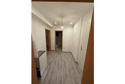 2 Zimmer Wohnung Zu Vermieten - 550,00&nbsp;EUR Kaltmiete, ca.&nbsp; 70,00&nbsp;m&sup2; in Rehau (PLZ: 95111)
