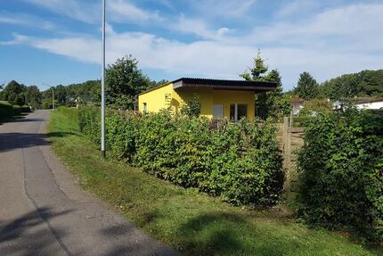 Kleingarten in Peitz (Teichland)