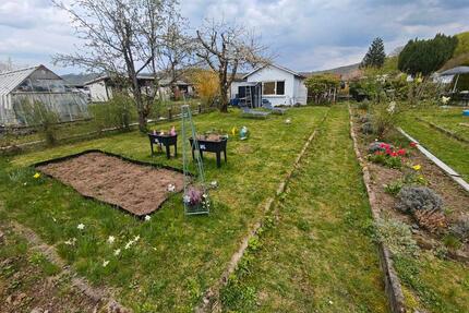 Pachtgarten, Kleingarten - 1.150,00&nbsp;EUR Kaltmiete, ca.&nbsp; 0,00&nbsp;m&sup2; in Sonneberg (PLZ: 96515)
