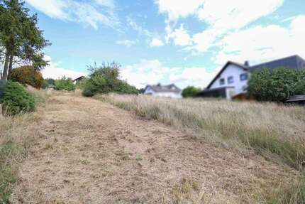 Grundstück zu verkaufen in Brechen 239.000,00 € 1028 m²