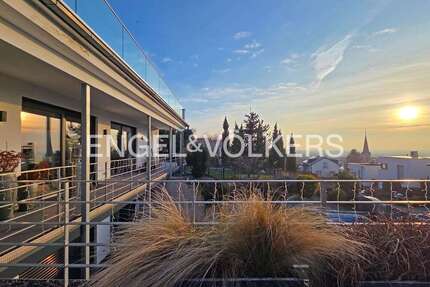 Haus zum Kaufen in Nußloch 2.490.000,00 € 332 m²