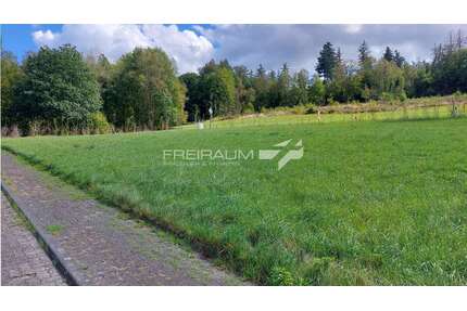 Grundstück zu verkaufen in Netphen Hainchen 129.000,00 € 1669 m² - Netphen / Hainchen
