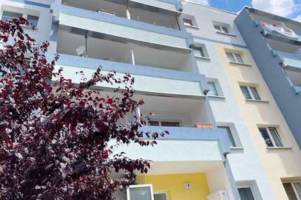 Wohnung zum Mieten in Halle 435,00 € 56 m²