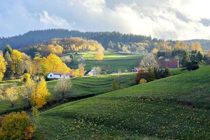 Haus zum Kaufen in Bühlertal 400.000,00 € 255 m²