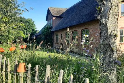 Ferienwohnung auf Reethof, nördliches Nordfriesland - mit Hund! - Süderlügum