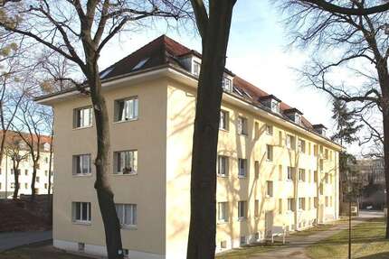 Wohnung zum Mieten in Dresden 415,00 € 52 m²