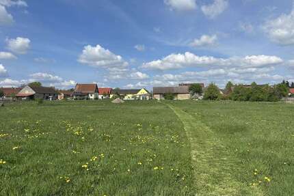 Grundstück zu verkaufen in Niederer Fläming 137.000,00 € 8861 m²