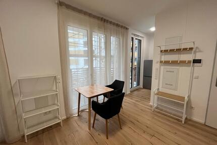 Möbliertes 1-Zi-Neubau Apartment, am Neckarbogen - Heilbronn Kernstadt