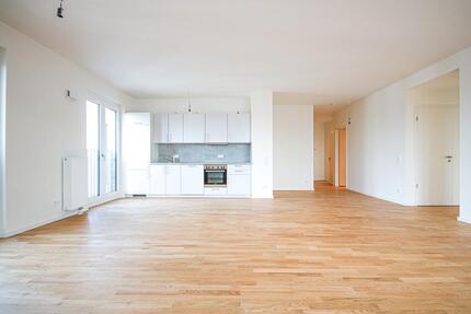 Moderne 1-Zimmerwohnung mit Einbauküche und Terrasse - Offenbach am Main Hafen