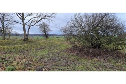 Ca 51400m2 Acker und Weideland nahe Rostock - Thulendorf