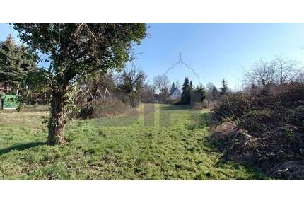 Grundstück zu verkaufen in Brehna 160.000,00 € 1975 m²