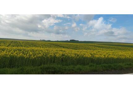 Frisch renovierte Erdgeschosswohnung mit Stellplatz im Maifeld - Polch