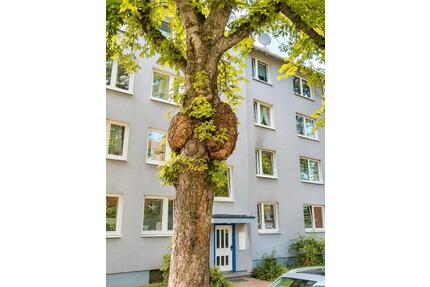 Kapitalanlage oder Eigennutzung- 3ZKB direkt an der Uni Kassel