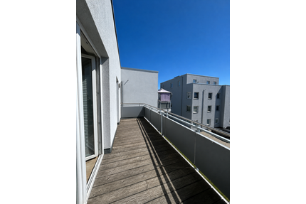 Wohnung zum Mieten in Stralsund 555,00 € 46 m²