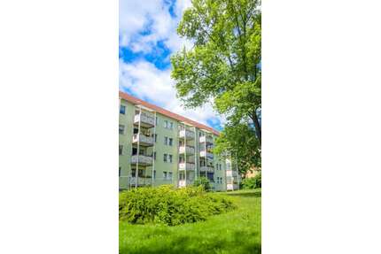 Wohnung zum Mieten in Zwickau 318,50 € 49 m²