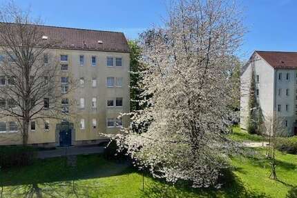 Wohnung zum Mieten in Zwickau 249,00 € 32 m²
