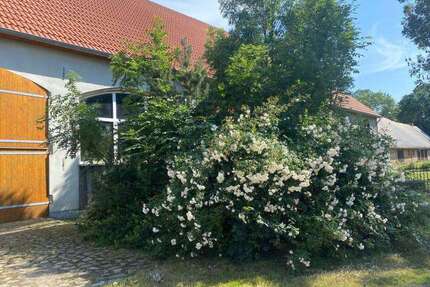 Haus zum Kaufen in Groß Polzin 150.000,00 € 200 m²