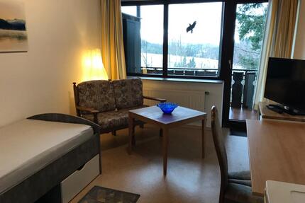 1-Zimmer-Appartment - 210,00&nbsp;EUR Kaltmiete, ca.&nbsp; 22,00&nbsp;m&sup2; in Grasellenbach (PLZ: 64689)