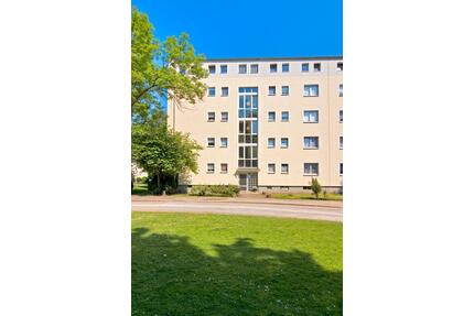 Wohnen am Zoom, Erdgeschoss, renoviert, Duschbad und Balkon - Gelsenkirchen Gelsenkirchen-Mitte