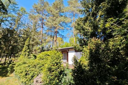 Pachtgrundstück Bungalow Schorfheide Waldgrundstück Garten