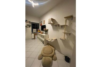 ‼️ANFRAGESTOPP‼️Moderne 2 Zimmerwohnung in Völksen - Springe