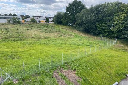 Grünfläche zu verpachten - 200,00&nbsp;EUR Kaltmiete, ca.&nbsp; 0,00&nbsp;m&sup2; in Reinfeld (Holstein) (PLZ: 23858)