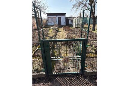 Pachtgarten 67 in der KGV 