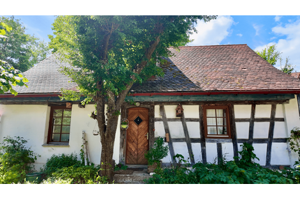 Haus zum Kaufen in Herdwangen-Schönach 680.000,00 € 430 m²