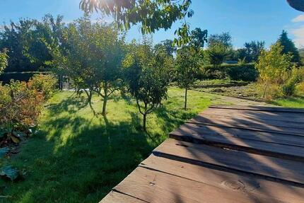 Garten in Gartensparte Hoffnung - Greifswald Eldena