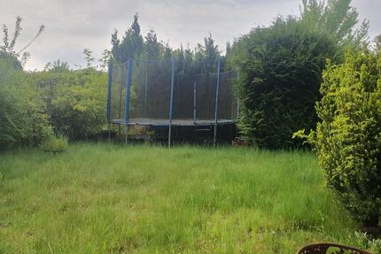 Kleingarten Garten mit Brunnen in Leipzig Lindenthal