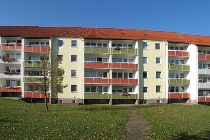 Großzügige 1-Raum-Wohnung zum Wohlfühlen - Riesa Neuweida