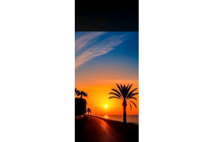 befristete Wohnung zu vermieten - Alicante - Mannheim Herzogenried