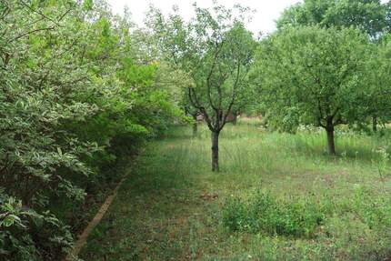 Großzügiges Baugrundstück in einer gewachsenen EFH Siedlung - Oranienburg
