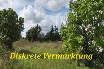 Einfamilienhaus mit Nebengelass vor den Toren der Halbinsel Fischland -Darß- Zingst - Barth Siedlung