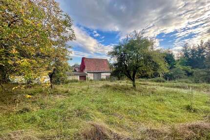 Grundstück zu verkaufen in Walsdorf 89.000,00 € 555 m²